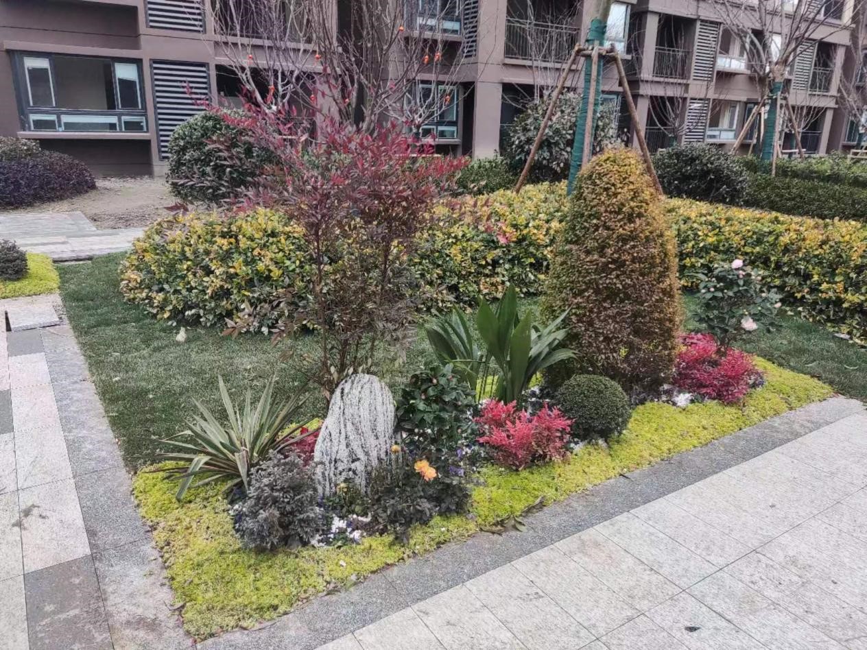 雄州2551套保险房根基落成